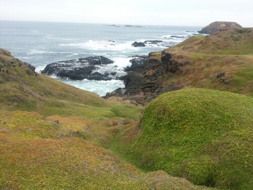 20130413_125349.jpg image