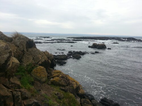 20130413_133729.jpg image