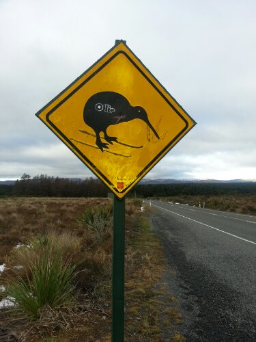 20130531_153035.jpg image