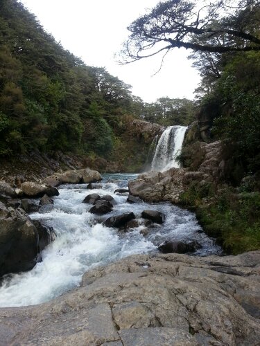 20130531_154744.jpg image